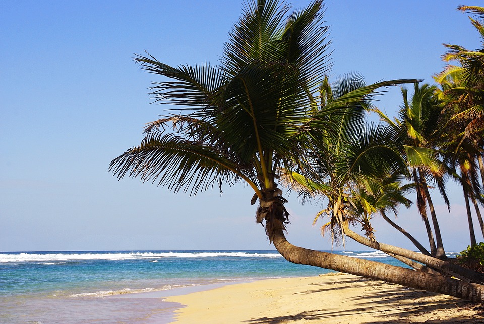 Lire la suite à propos de l’article Quels sont les destinations populaires en République dominicaine ?